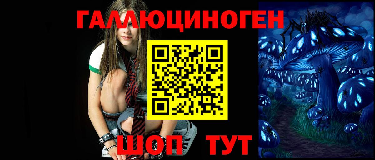 Псилоцибиновые грибы Cubensis Алушта